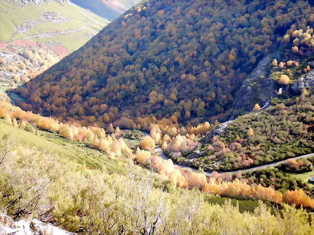 DSCN1373 DSCN1373