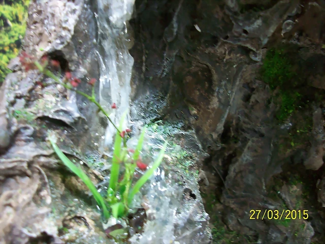101_0339 101_0339
