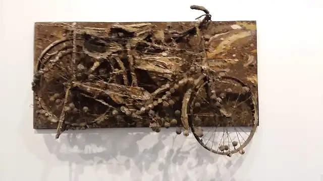 bici1