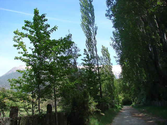 san martin de los andes 711 san martin de los andes 711