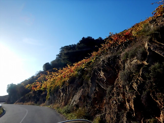 DSCN1719 DSCN1719