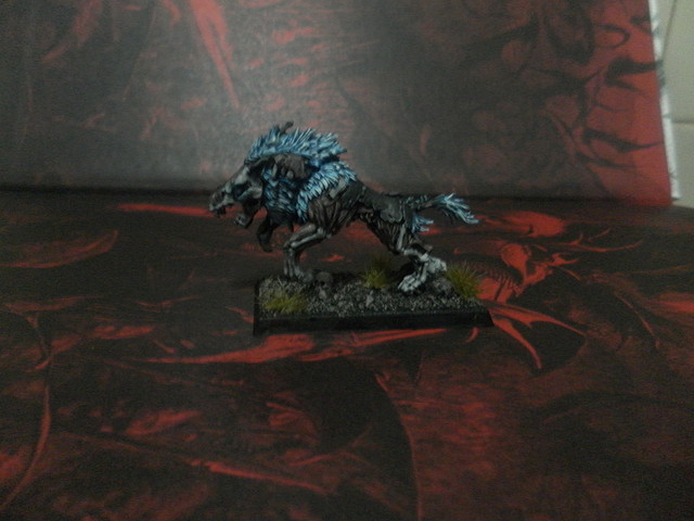 lobo4 lobo4