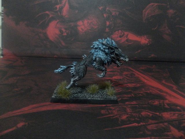 lobo2 lobo2