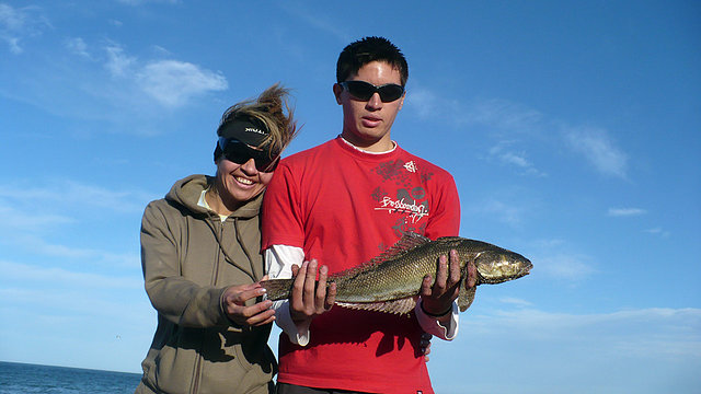 robalo en  Santa Isabel