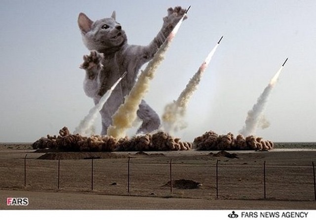 1lolcatzmissile 1lolcatzmissile