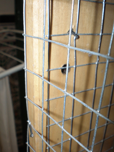P6100250