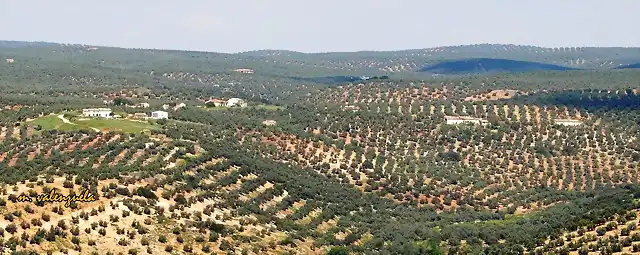 13, los charcones desde huerta franca, marca