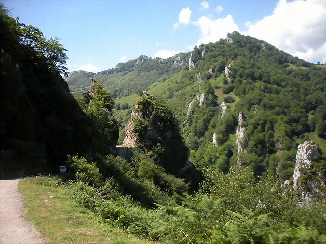 DSCN3851 DSCN3851