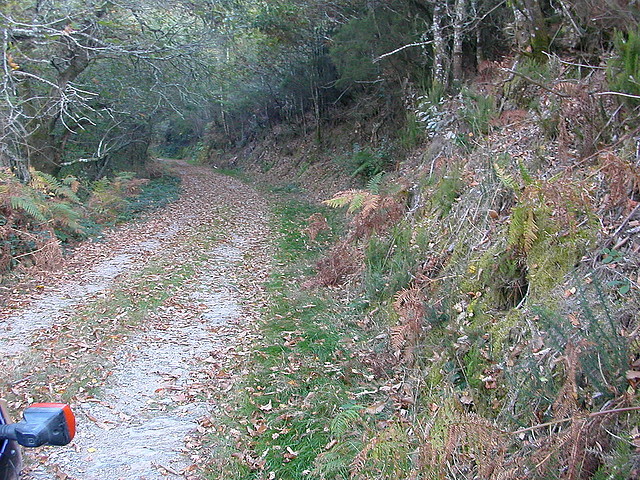 DSCN7953 DSCN7953