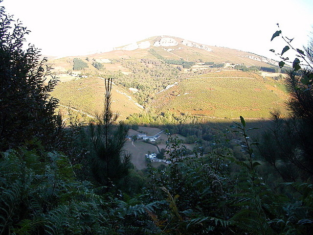 DSCN7952 DSCN7952