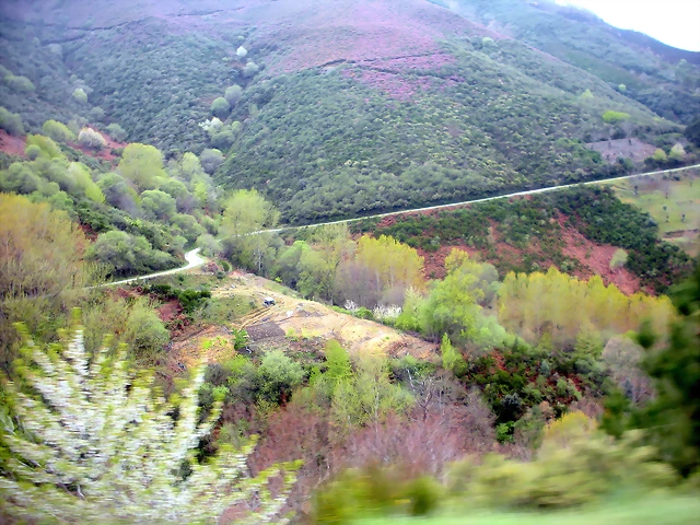 DSCN3859 DSCN3859
