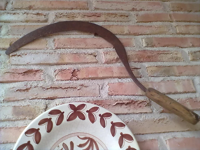 sin titulo 005