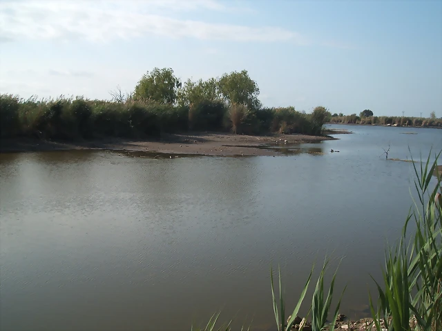DSCF2370 DSCF2370