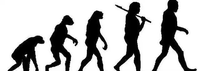 evolucion1--647x231