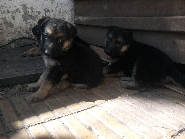 Foto0145 Foto0145