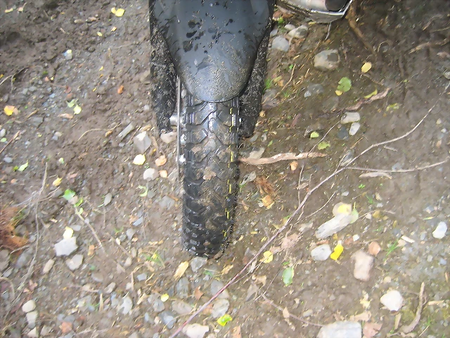 IMG_0443 IMG_0443