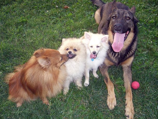 Mis peques en el parque !!