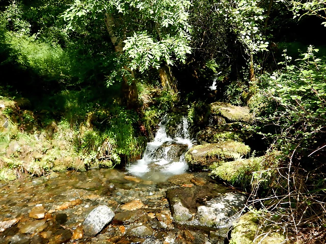 DSCN5069'4 DSCN5069'4