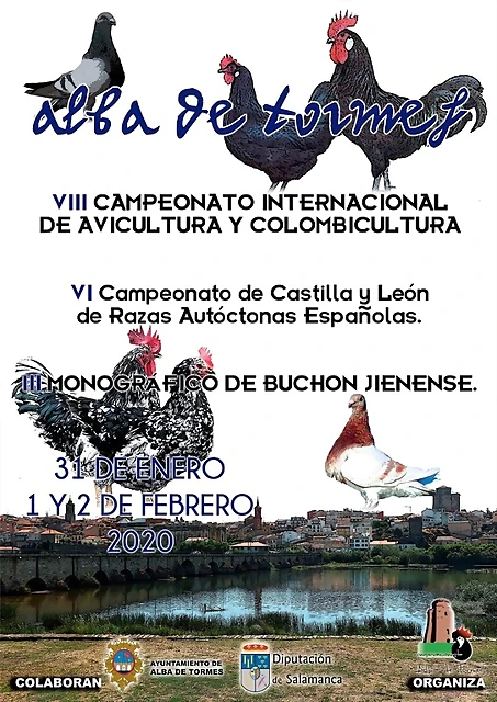 cartel 2020 cartel 2020