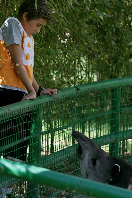 Zoo de Barcelona 03-04-11 399 Zoo de Barcelona 03-04-11 399