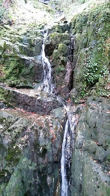 _20170914_122927 _20170914_122927