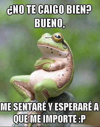 no te caigo bien!! no te caigo bien!!