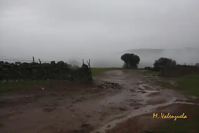 006, camino a la sierra, marca