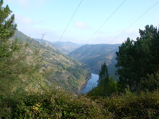 DSCN7484 DSCN7484