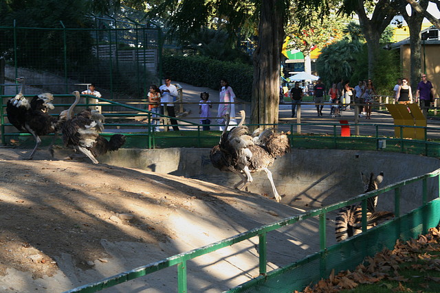 Zoo Barcelona 13-09-10 052 Zoo Barcelona 13-09-10 052