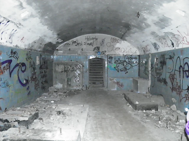 P5310017