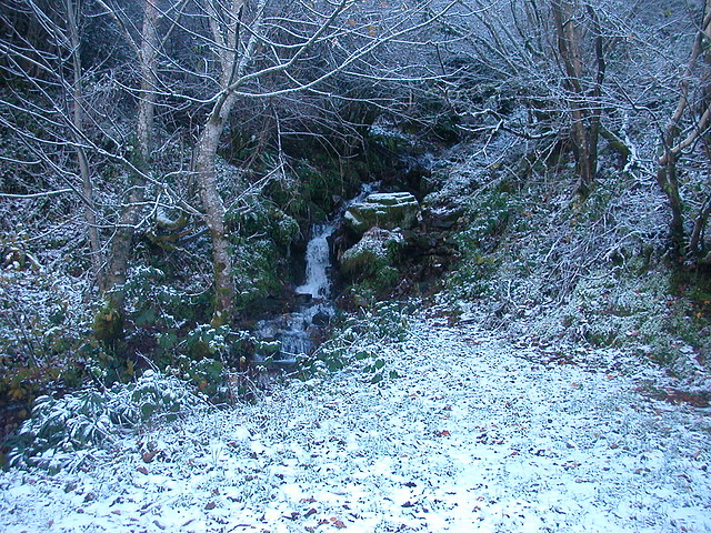 DSCN4798 DSCN4798