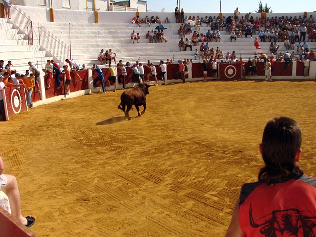 en la plaza3