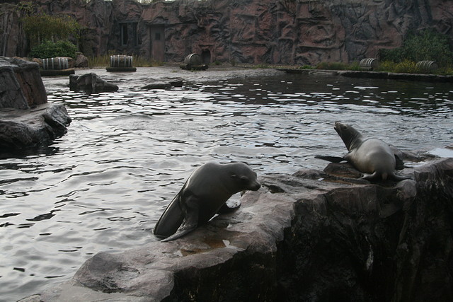 Zoos Wuppertal, Dortmund y Gelsenkirchen 01-10-09 691 Zoos Wuppertal, Dortmund y Gelsenkirchen 01-10-09 691