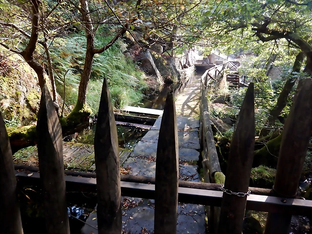 DSCN8443 DSCN8443