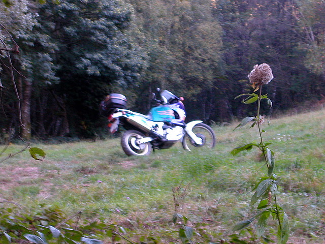 DSCN7915 DSCN7915