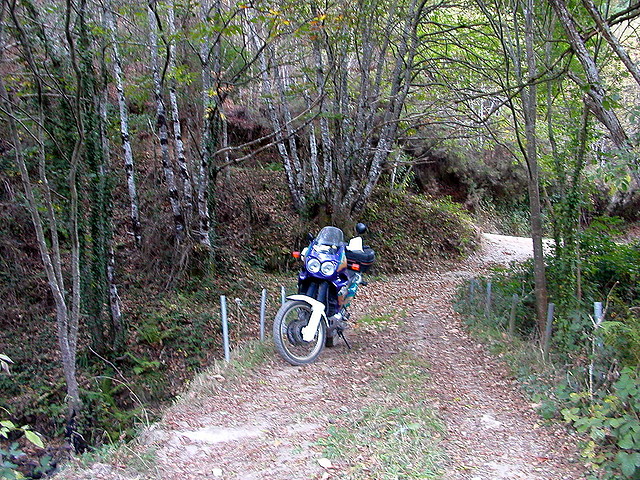 DSCN7917 DSCN7917