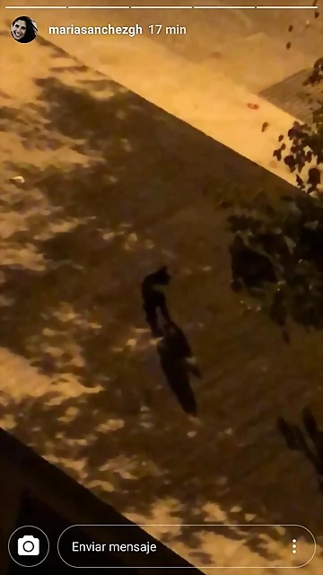 Video Mar?a IG Stories 12-8-2018 (11) Video Mar?a IG Stories 12-8-2018 (11)