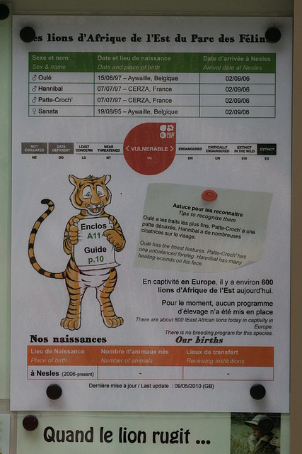 Le Parc des Felins agost 2010 941 Le Parc des Felins agost 2010 941