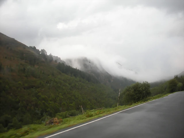 DSCN8485 DSCN8485