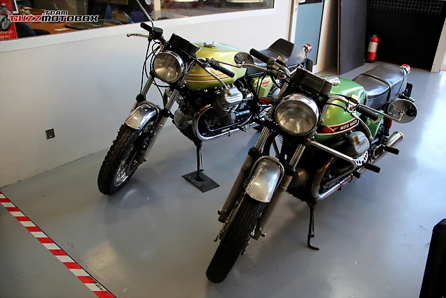 IMG_0395 IMG_0395