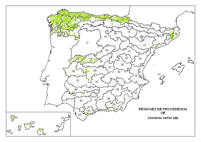 map_Castanea sativa_tcm30-139439