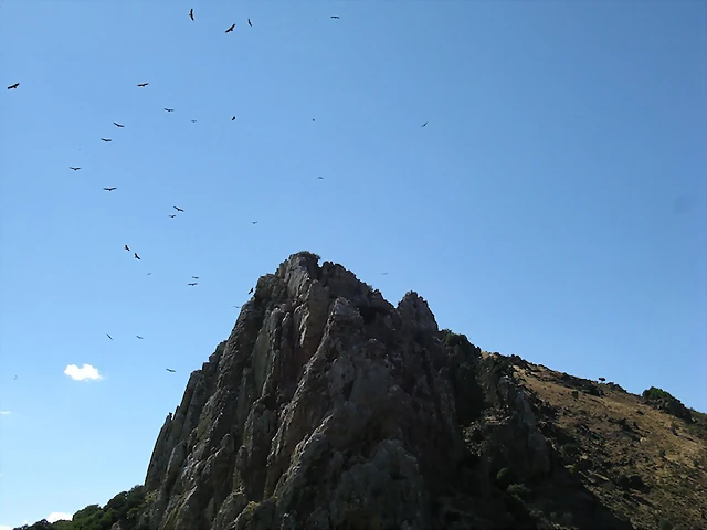 Salto Salto
