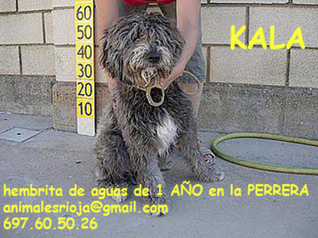 KALA La Rioja adoptada