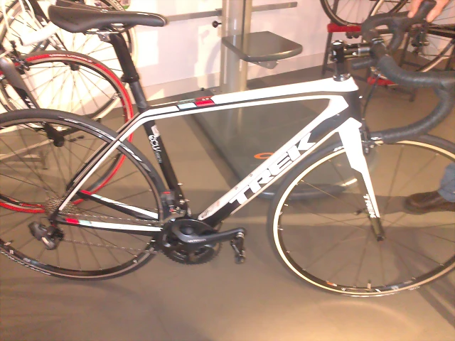 madone madone