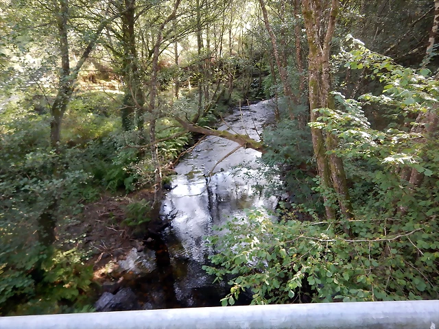 DSCN3013 DSCN3013
