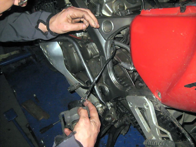 IMG_2500 IMG_2500