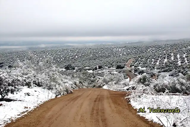 14, hacia la fuente del rosal1, marca