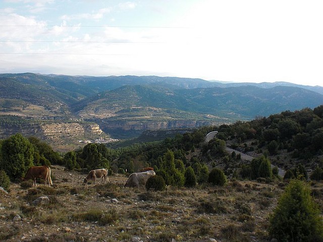 Santa gueda (5)