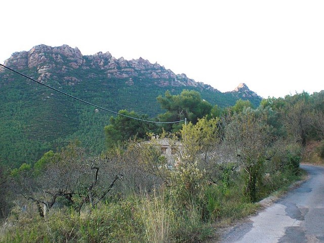 Monte Bartolo (3)