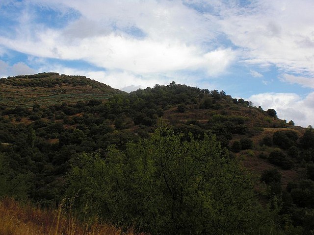 Prades (5)